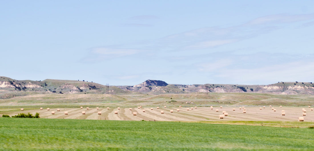 Top or Best Flyer Design Agencies and Companies in Sidney, Montana