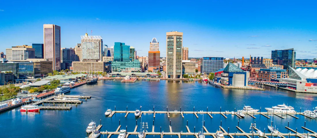 Top or Best Social Media Management Agencies and Companies in Baltimore, Maryland