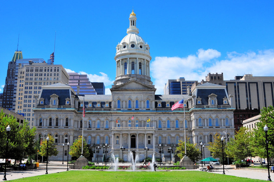 Top or Best Mural Design Agencies and Companies in Baltimore, Maryland