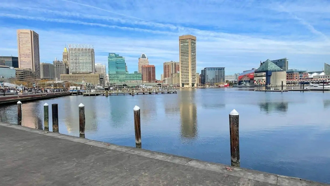Top or Best Menu Design Agencies and Companies in Baltimore, Maryland