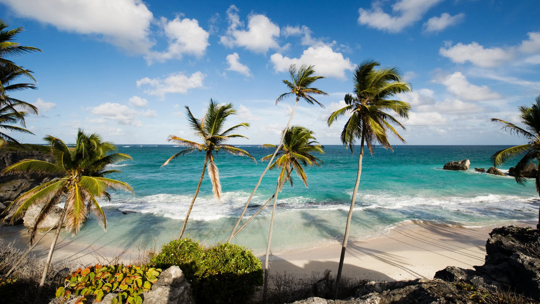 Top 5 Custom Graphic Design Agencies in Barbados for Streamers