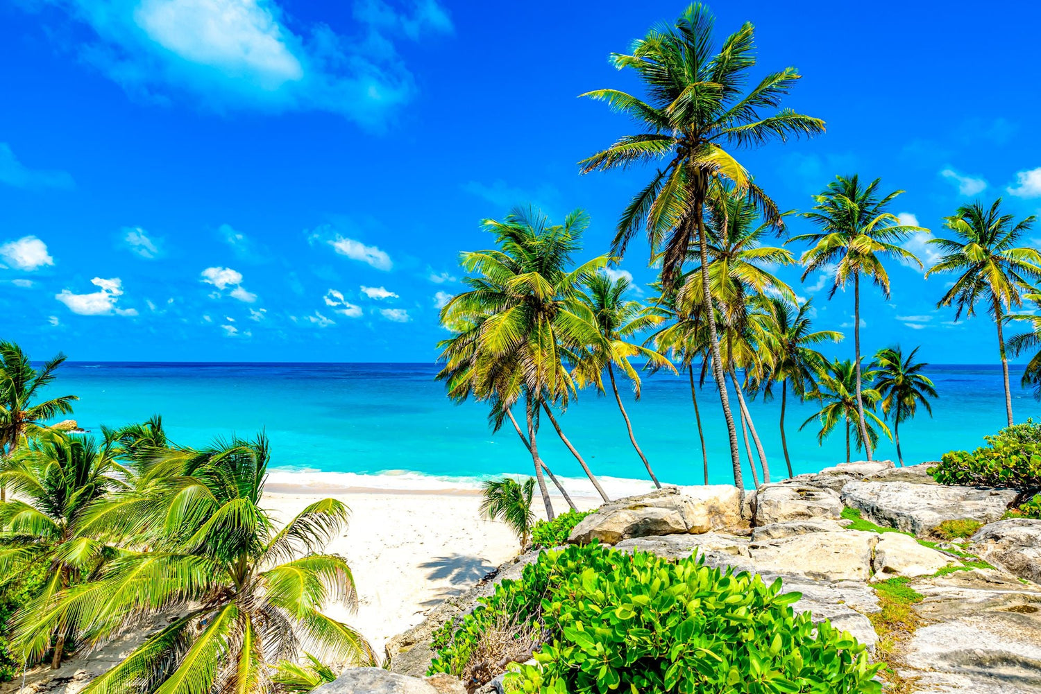 Top 5 Storyboard Design Agencies in Barbados