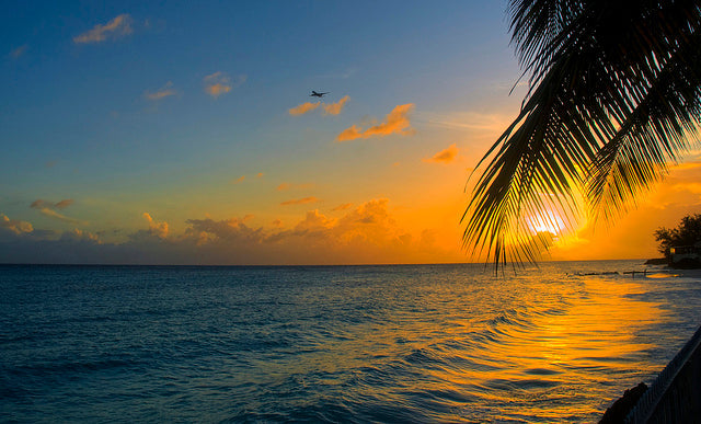 Top 5 Flyer Design Agencies in Barbados