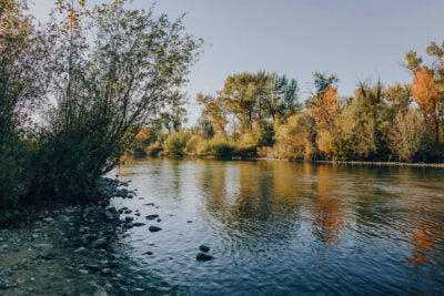 Top or Best Graphic Design Agencies and Companies in Eagle, Idaho