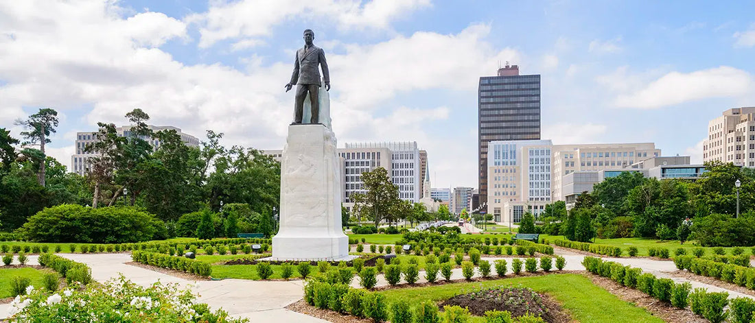 Top or Best Social Media Management Agencies and Companies in Baton Rouge, Louisiana