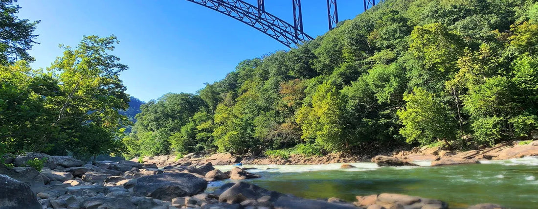 Top or Best Animation and Motion Graphics Agencies and Companies in Beckley, West Virginia