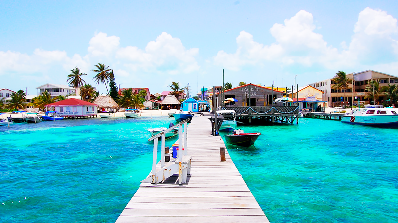 Top or Best Influencer Brand Partnership Agencies and Companies in Belize