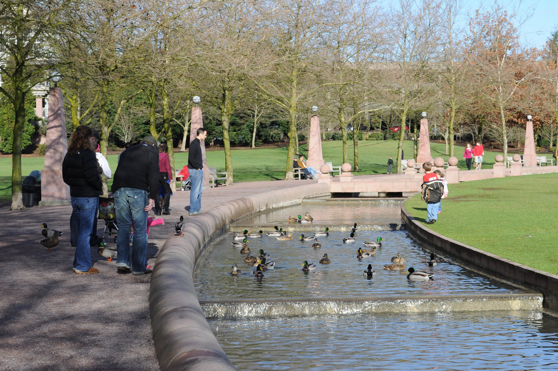 Top or Best Catalog Design Agencies and Companies in Bellevue, Nebraska