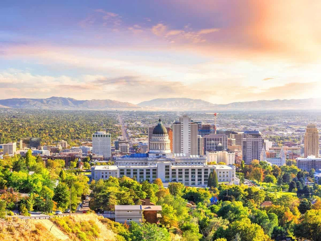 Top and Best Infographic Design Agencies and Companies in Salt Lake City, Utah