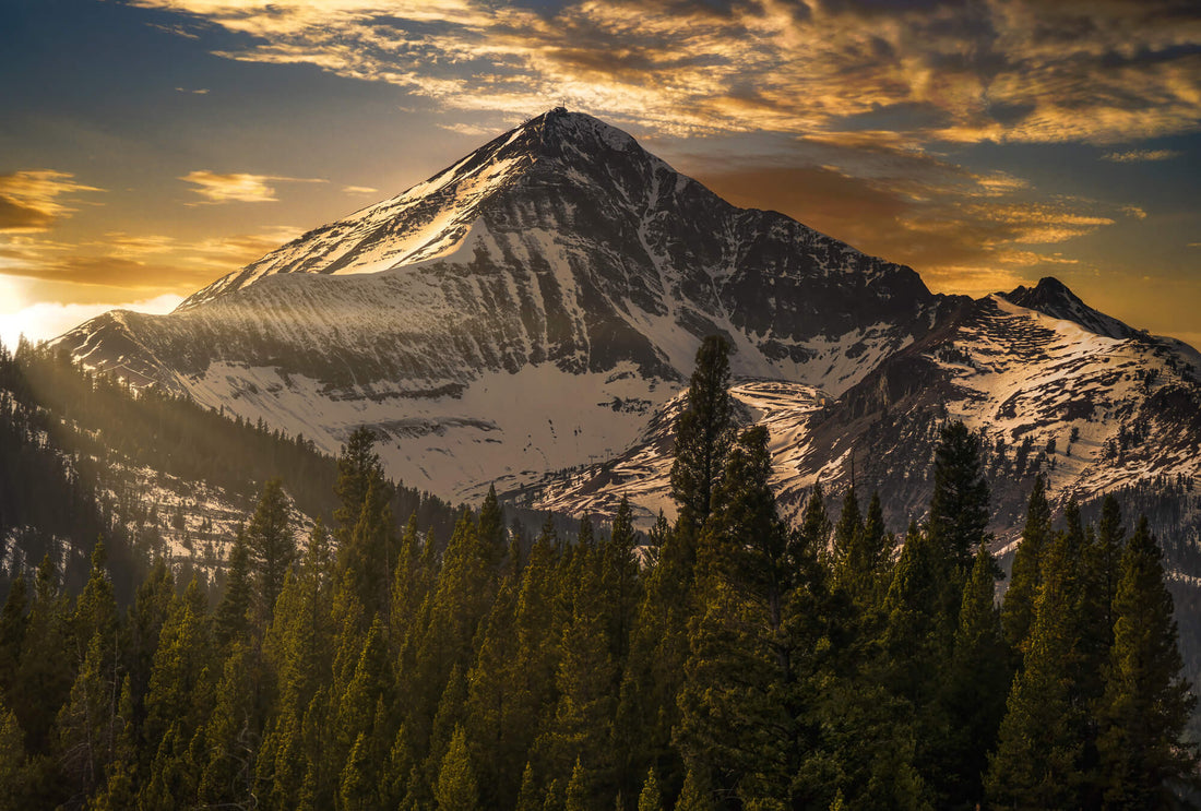 Top or Best Invitation Design Agencies and Companies in Lockwood, Montana