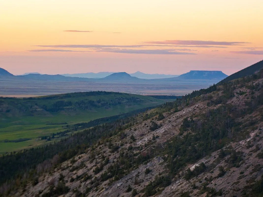Top or Best Website Design Agencies and Companies in Helena Valley West Central Montana