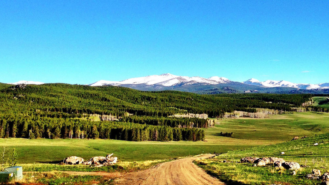 Top or Best Logo Animation Agencies and Companies in Buffalo, Wyoming