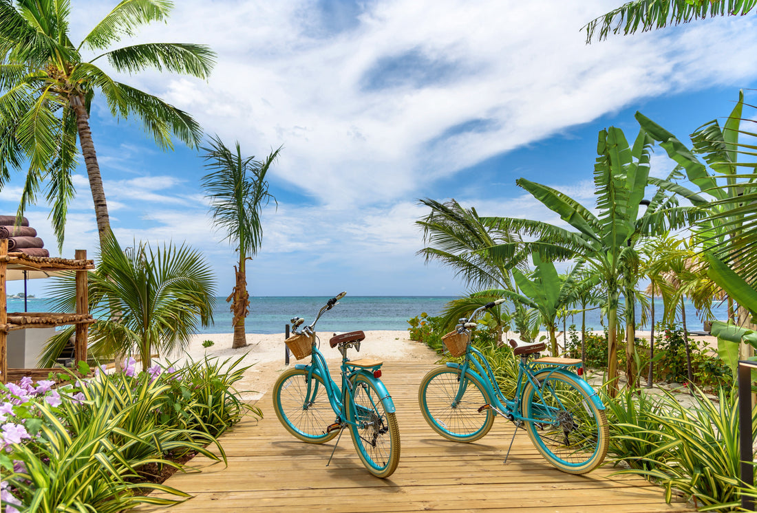 Top or Best Athlete Management Agencies and Companies in Jamaica