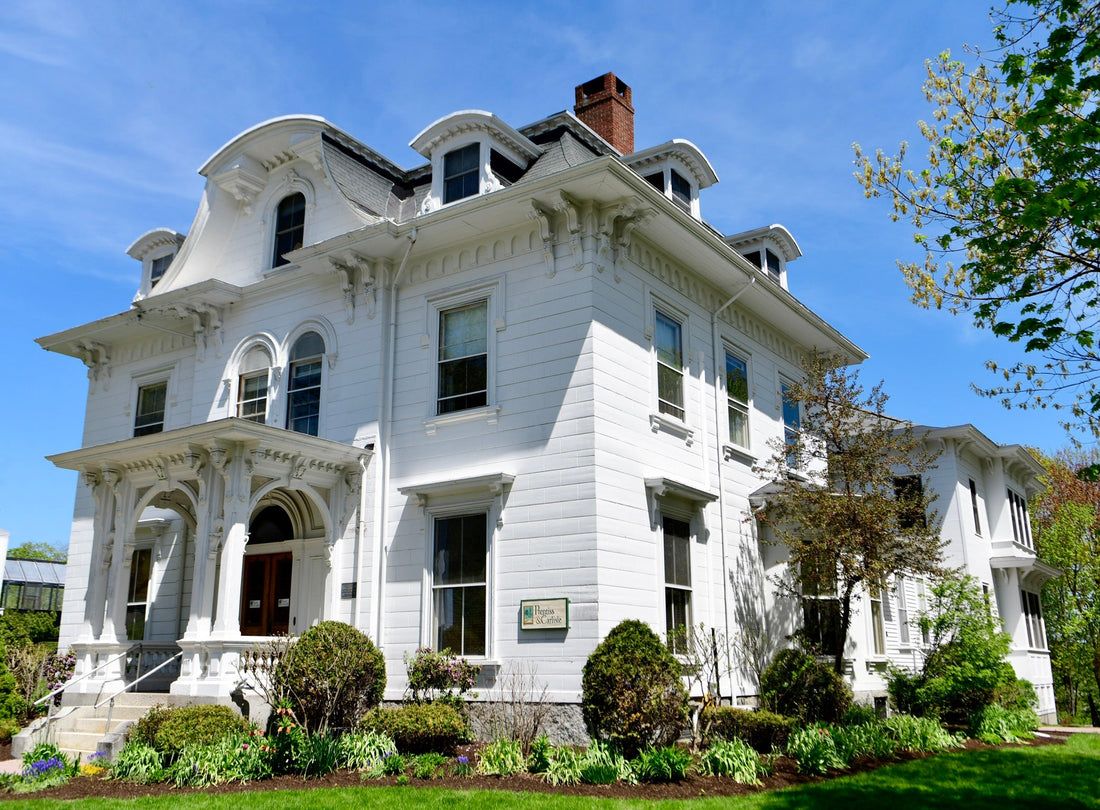 Top or Best X (Twitter) Management Agencies and Companies in Bangor, Maine