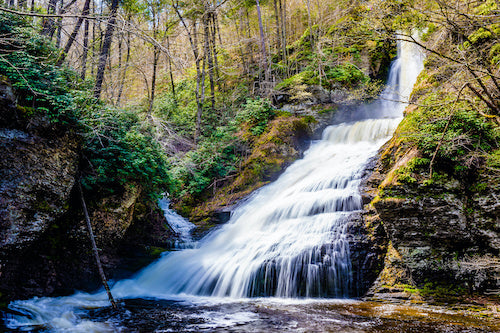 Top or Best App UI/UX Design Agencies and Companies in Pike Creek Valley, Delaware