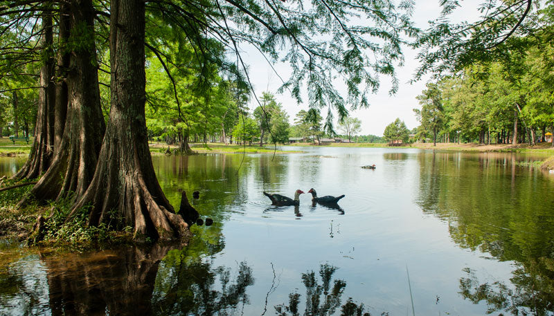 Top or Best Poster Design Agencies and Companies in Texarkana, Arkansas