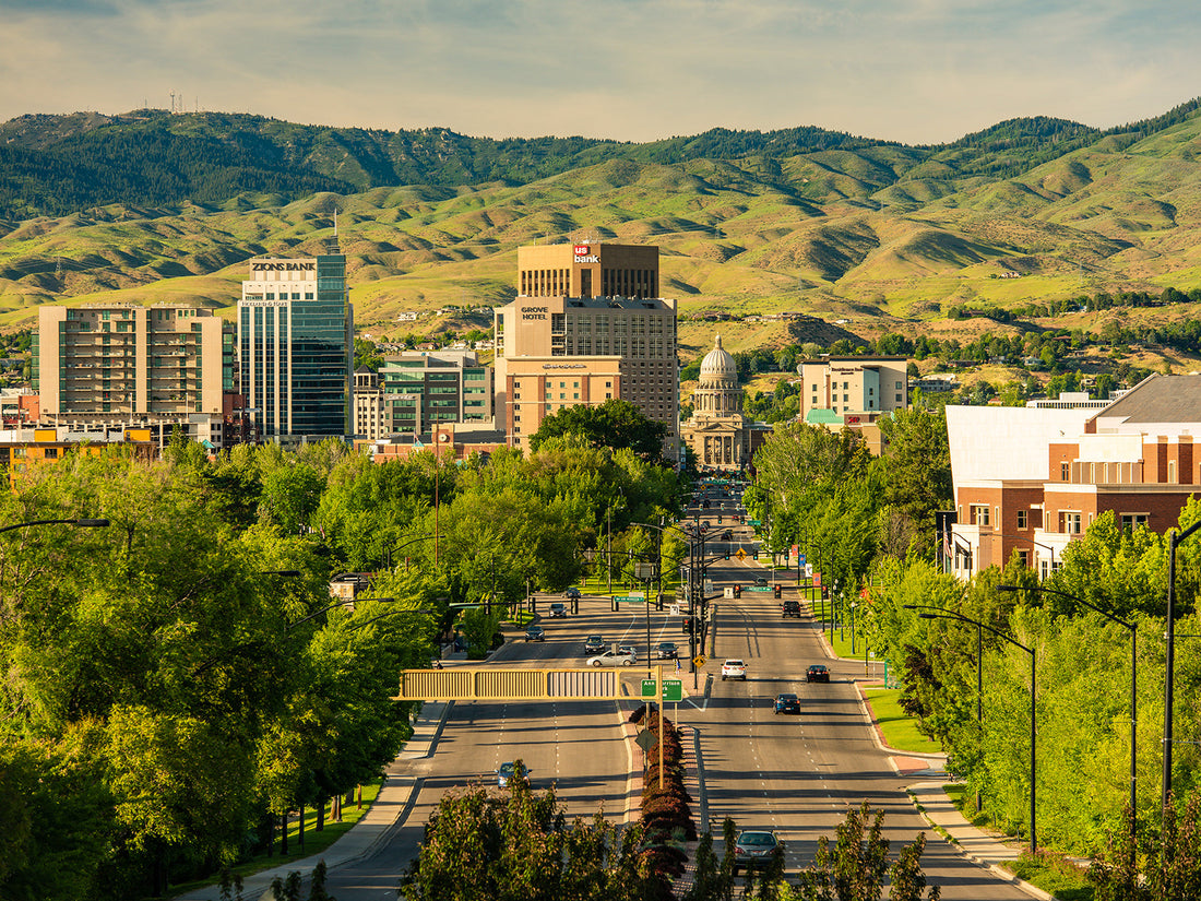Top or Best NFT Art Agencies and Companies in Boise, Idaho