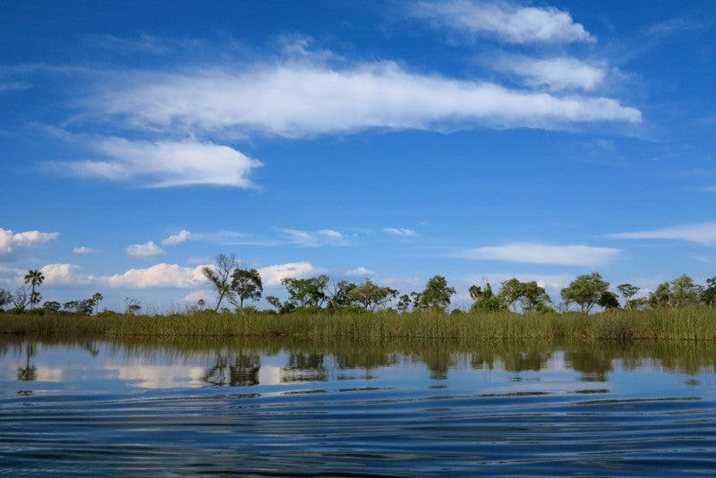 Top Postcard Design Agencies in Botswana