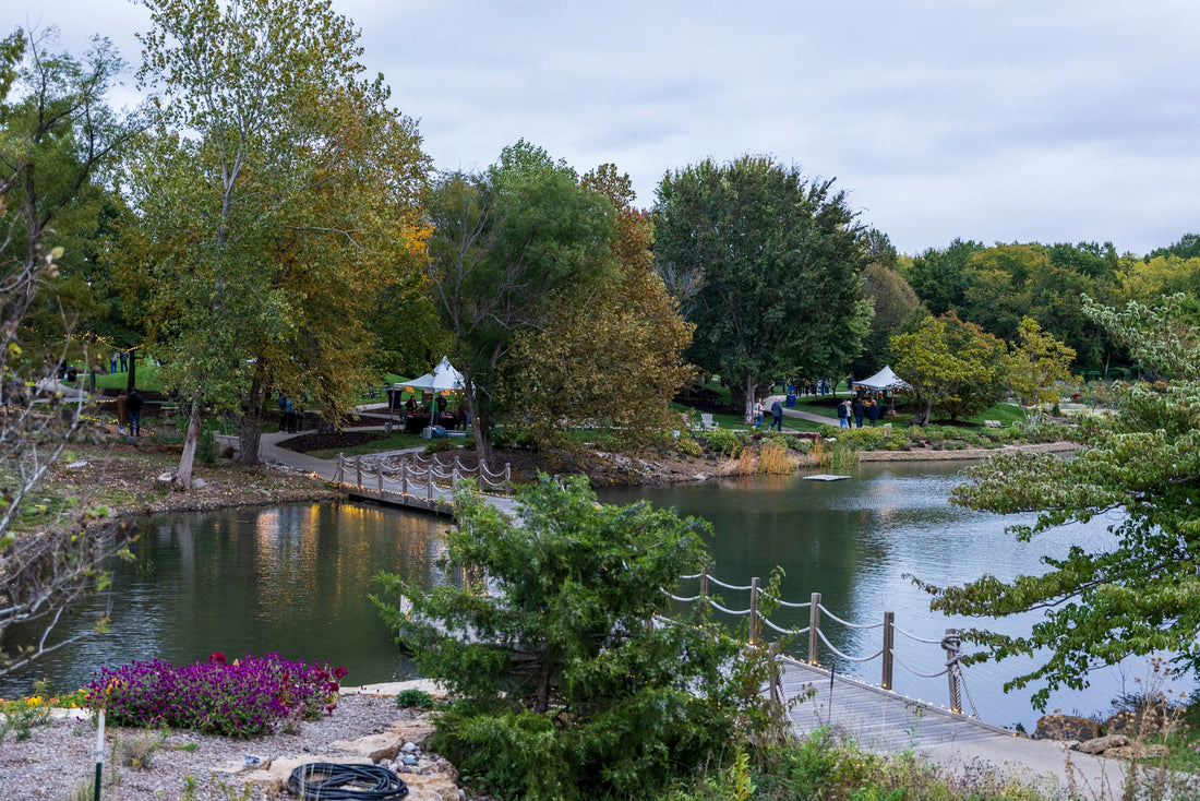 Top or Best Drawing and Illustration Agencies and Companies in Overland Park, Kansas