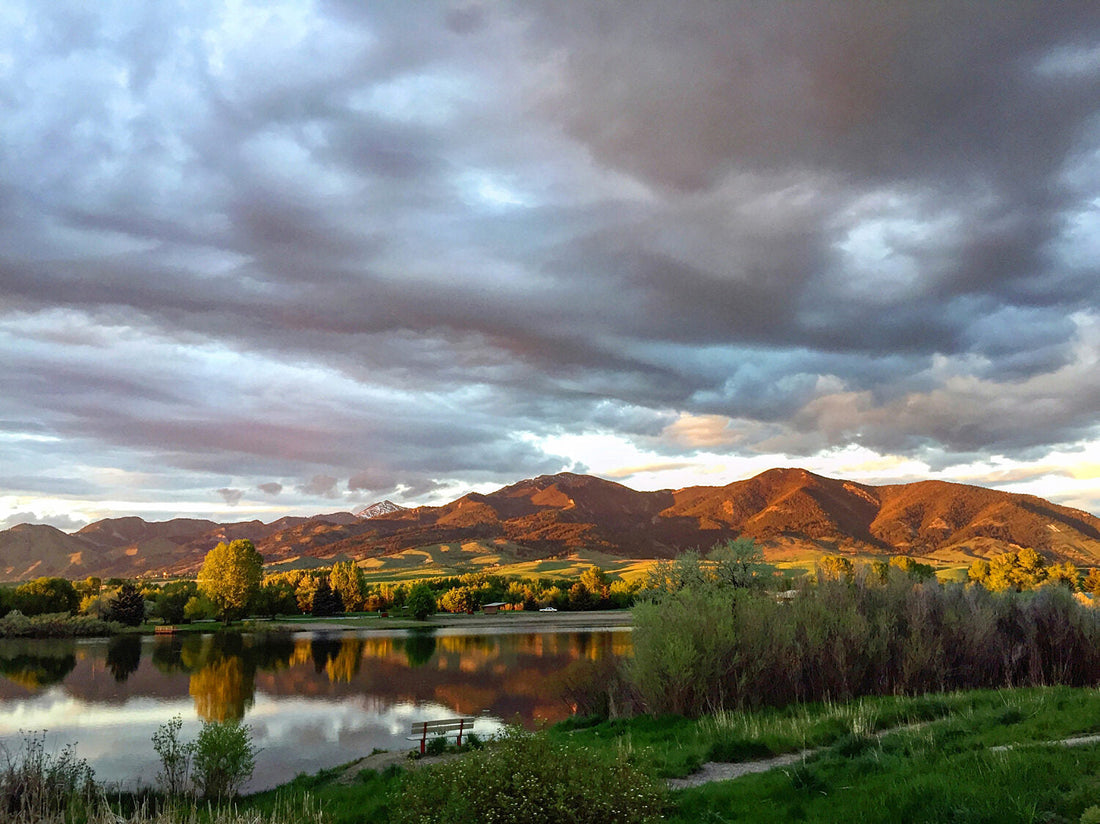 Top or Best Website Design Agencies and Companies in Bozeman, Montana