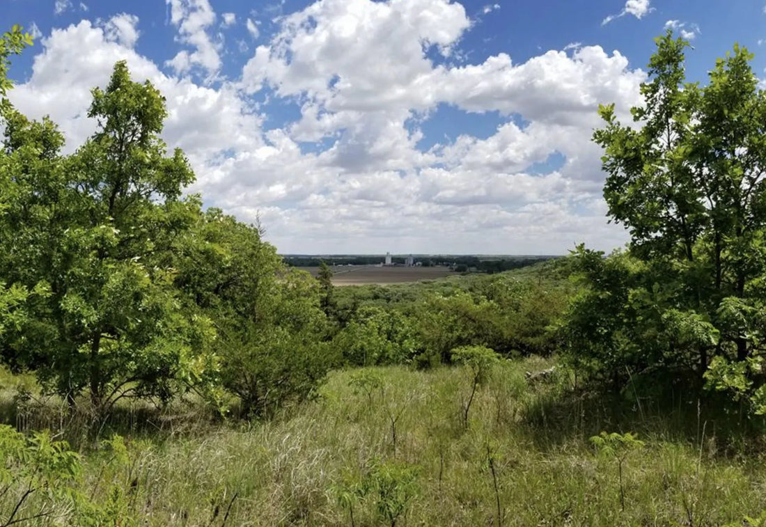 Top or Best Presentation Design Agencies and Companies in Broken Arrow, Oklahoma