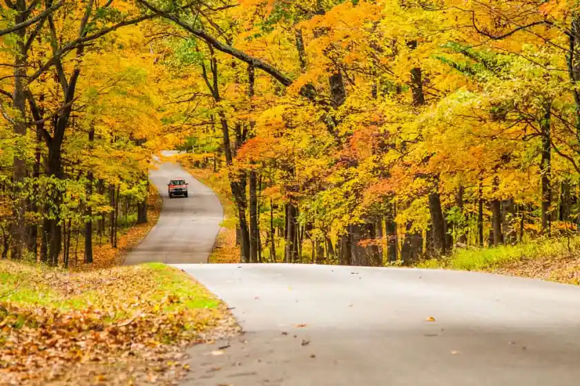 Top or Best Graphic Design Agencies and Companies in Westfield, Indiana