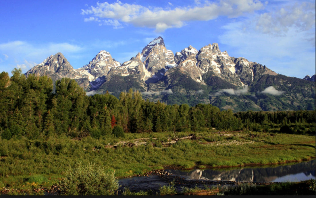 Top or Best Graphic Design Agencies and Companies in Buffalo, Wyoming