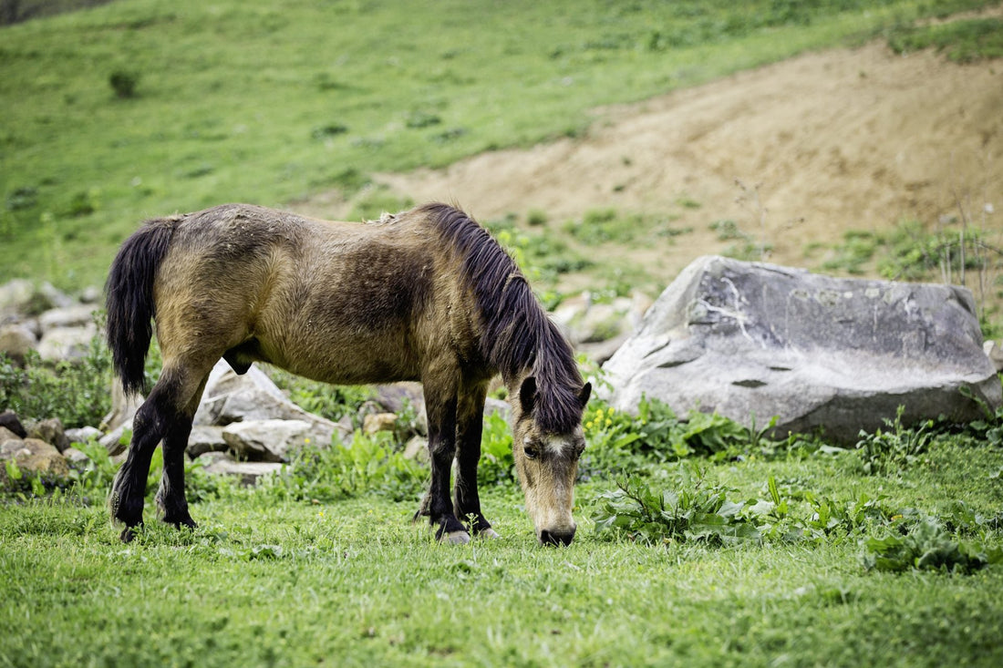 Top or Best Poster Design Agencies and Companies in Bluefield, West Virginia