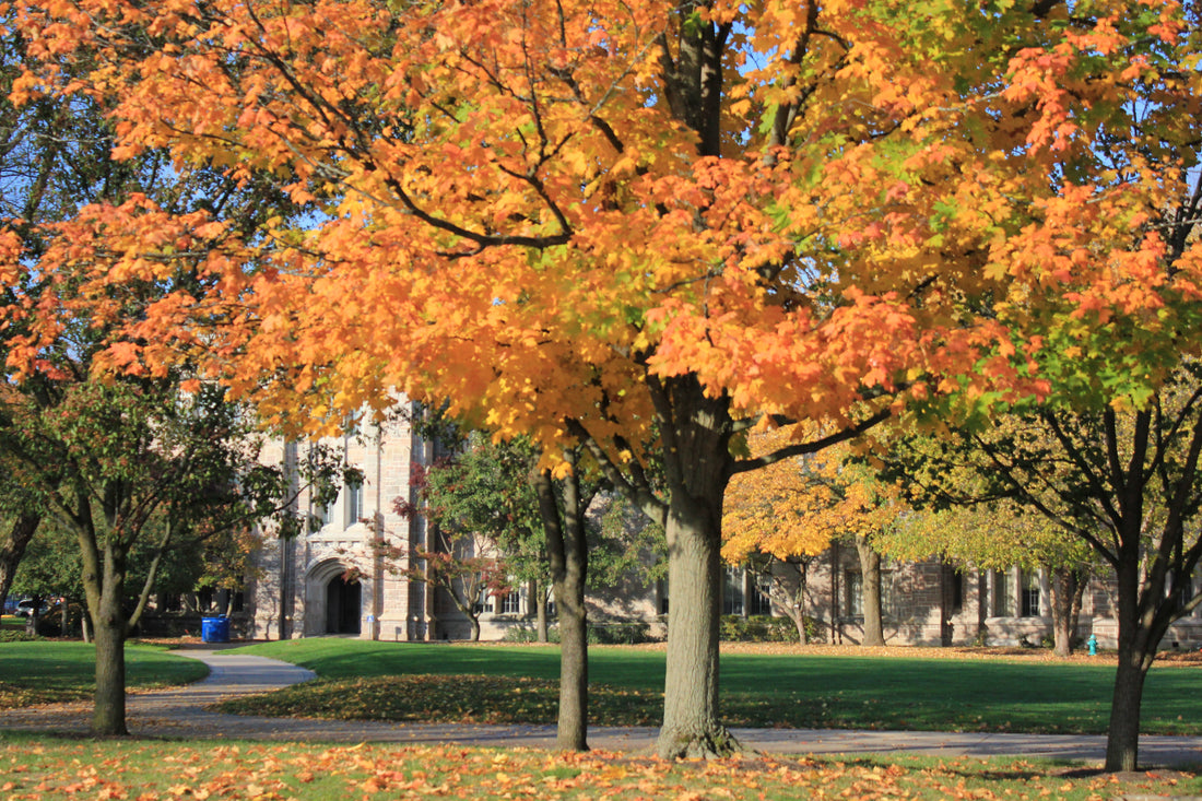 Top or Best AR Filters and Lenses Agencies and Companies in Indianapolis, Indiana