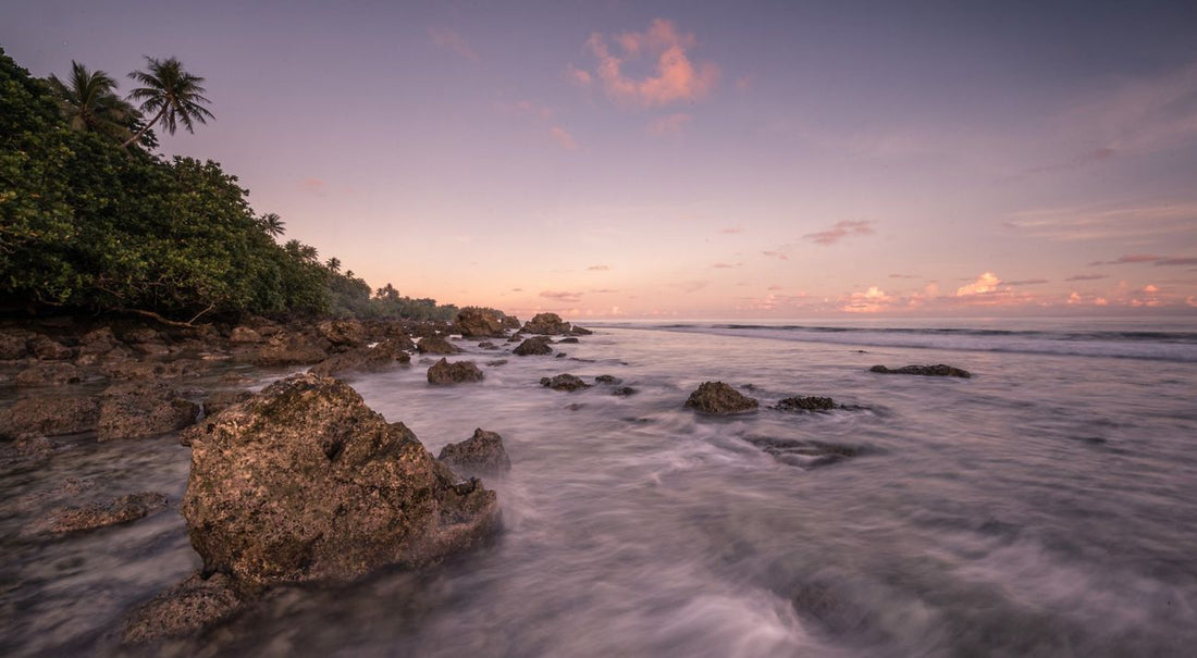 Top or Best Influencer Brand Partnership Agencies and Companies in Dominica
