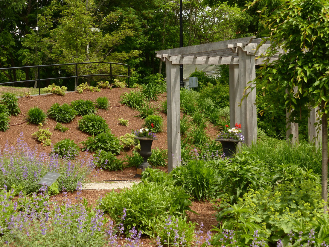 Top or Best Email Campaign Design Agencies and Companies in Bedford, New Hampshire