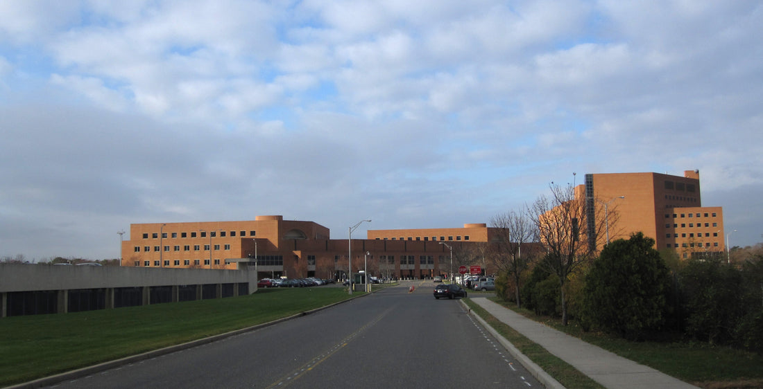 Top or Best Flyer Design Agencies and Companies in Islip, New York