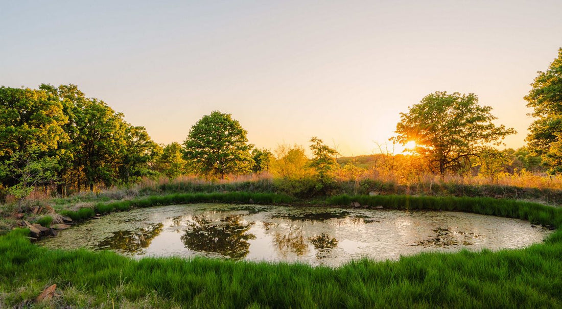 Top or Best LinkedIn Management Agencies and Companies in Midwest City, Oklahoma