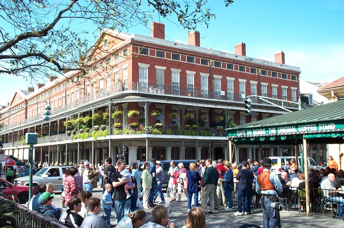 Top or Best Brochure Design Agencies and Companies in New Orleans, Louisiana