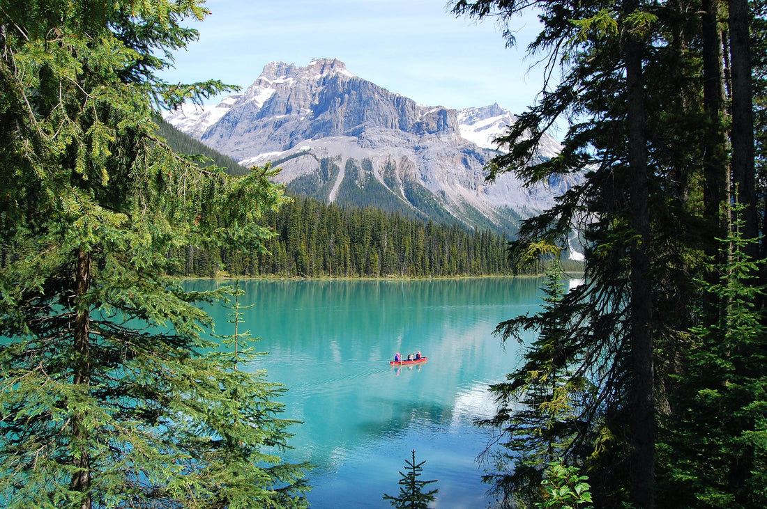 Top or Best Athlete Management Agencies and Companies in Canada