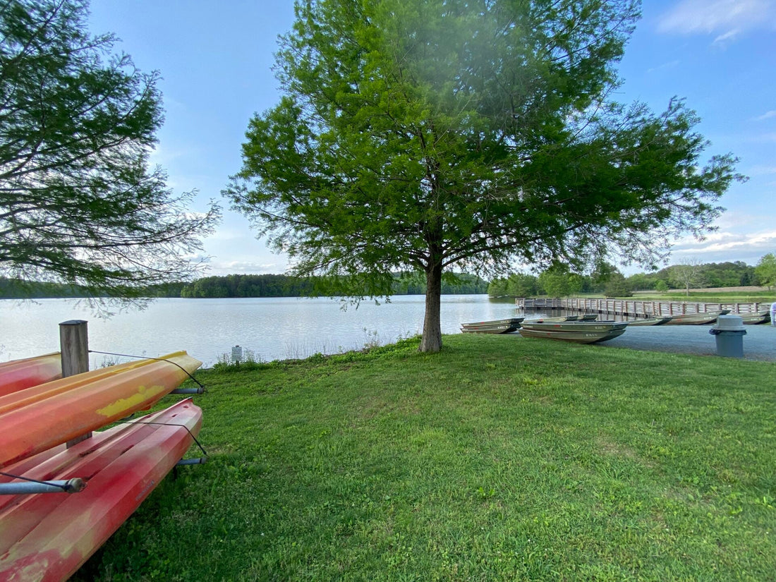 Top or Best Poster Design Agencies and Companies in Chapel Hill, North Carolina