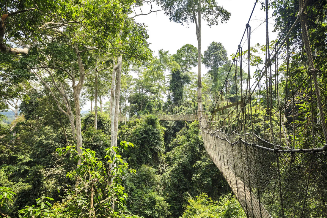 Top 5 App UI/UX Design Agencies in Ghana