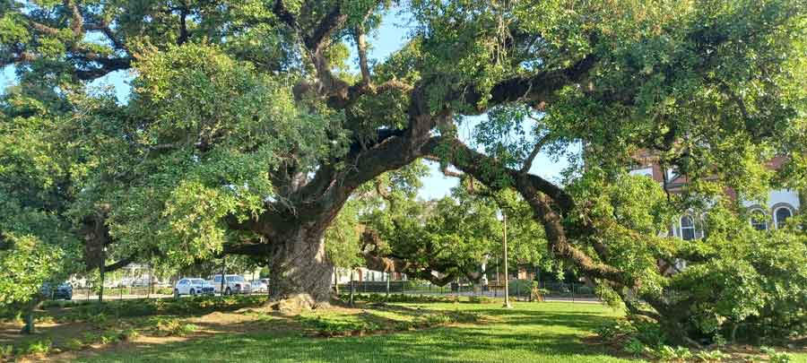 Top or Best Virtual Background Design Agencies and Companies in Lafayette, Louisiana