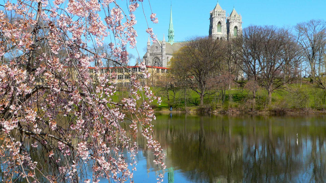 Best or Top Graphics for Streamers Agencies and Companies in Newark, New Jersey