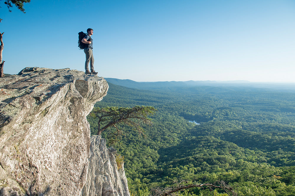 Top or Best Mural Design Agencies and Companies in Spanish Fort, Alabama