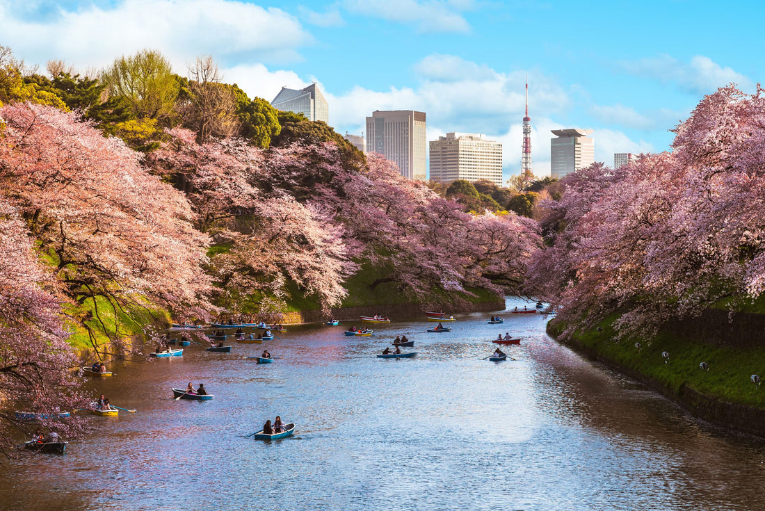 Top or Best Packaging Design Agencies and Companies in Tokyo, Japan