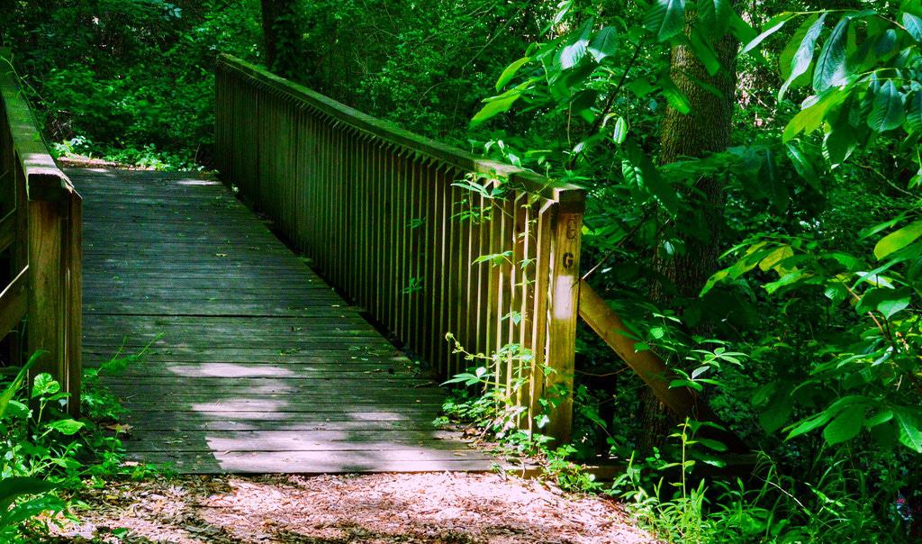 Top or Best Influencer Brand Partnership Agencies and Companies in Chesapeake, VA