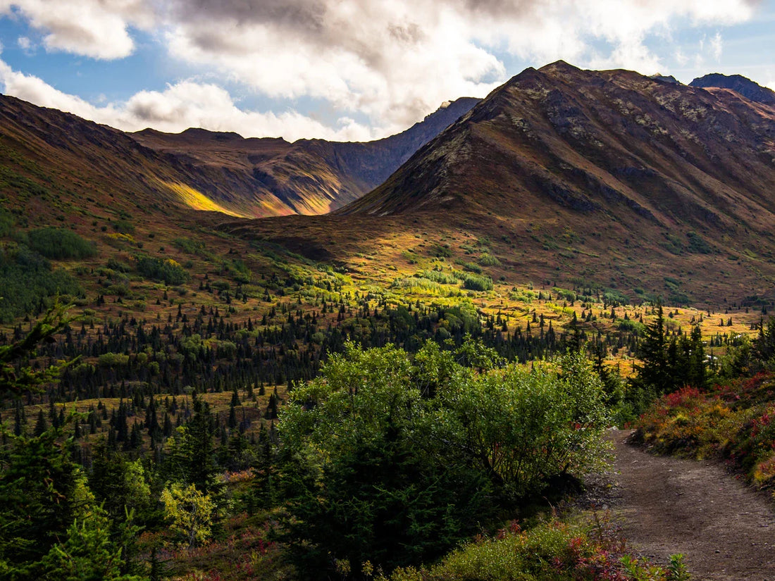 Top or Best Virtual Background Design Agencies and Companies in Tanaina, Alaska