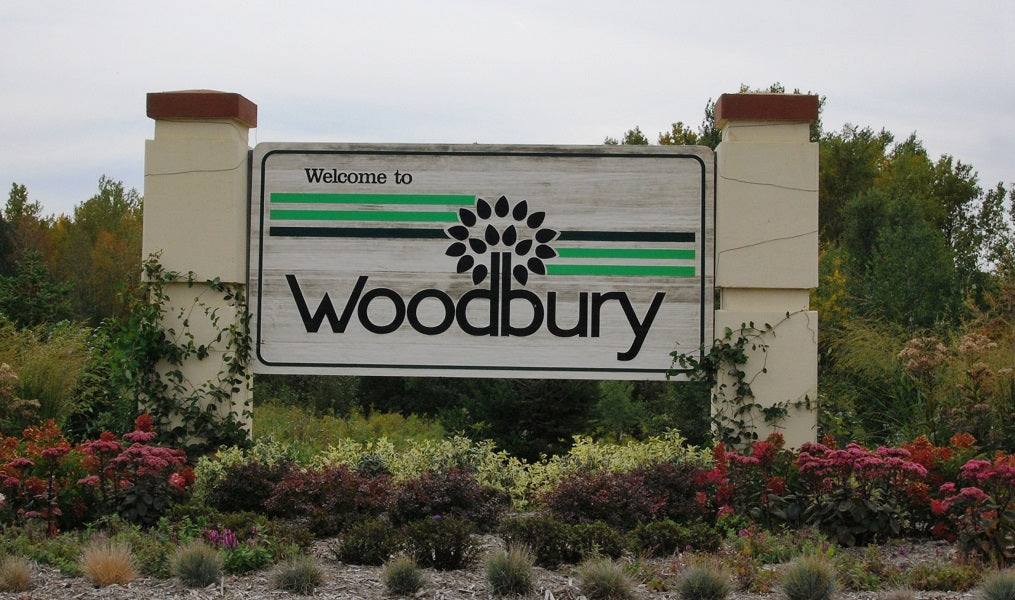 Top or Best Cartoon & Comic Agencies and Companies in Woodbury, Minnesota