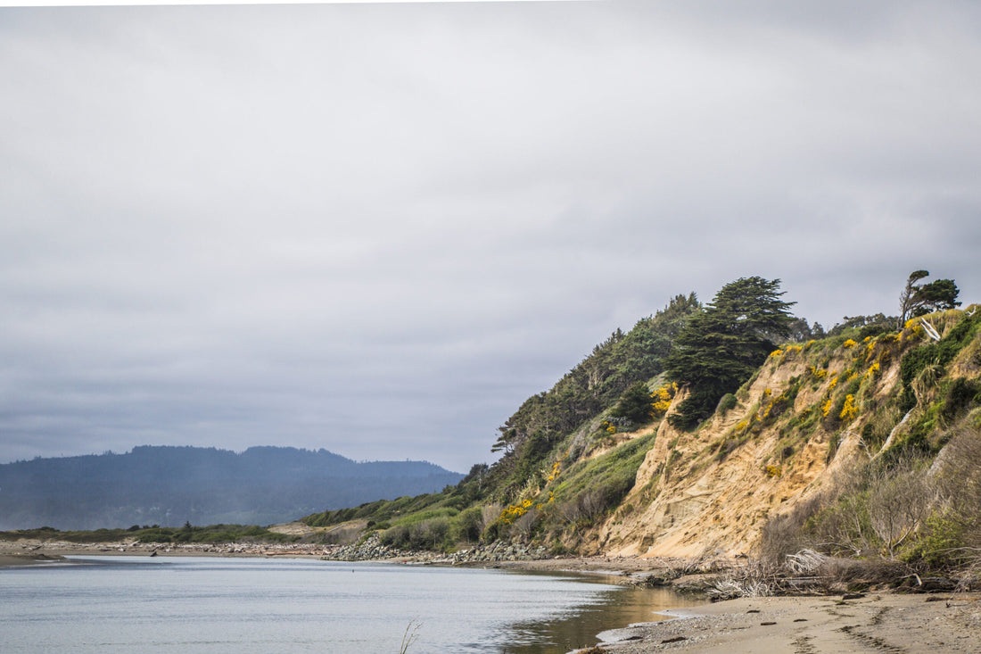 Top or Best Video Editing Agencies and Companies in Fontana, California