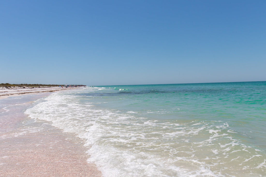 Top or Best Photography and Photo Editing Agencies and Companies in Clearwater, Florida