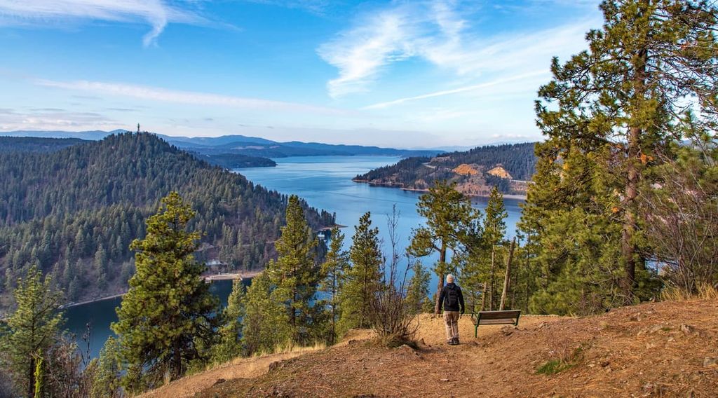 Top or Best NFT Art and Illustration Agencies and Companies in Coeur d’Alene, Idaho