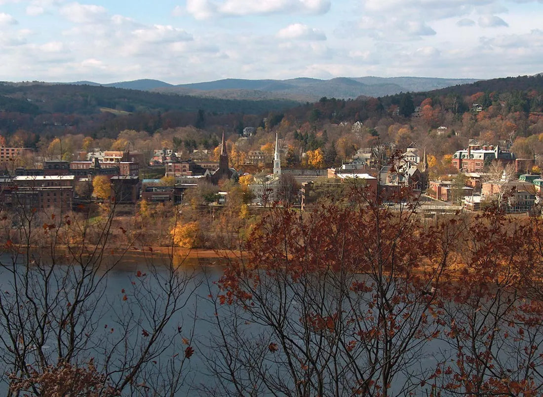 Top or Best Website Design Agencies and Companies in Brattleboro, Vermont