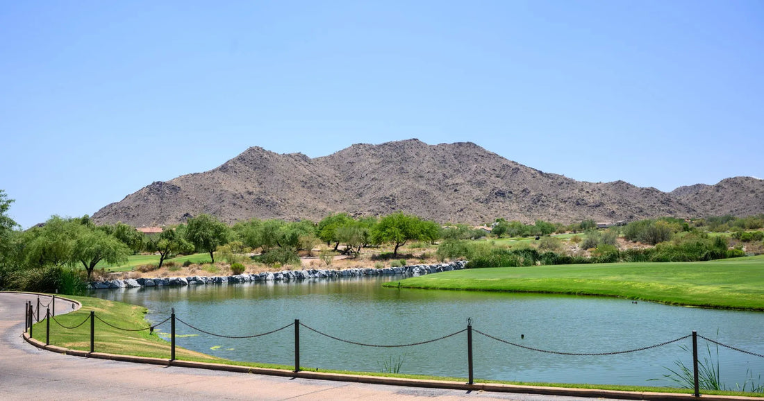 Top or Best Animation & Motion Graphics Agencies and Companies in Buckeye, Arizona