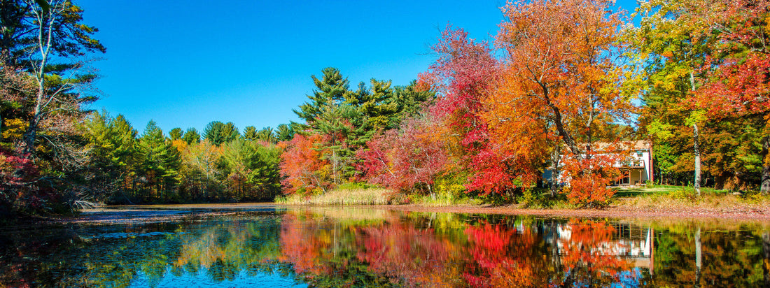 Top or Best NFT Art Agencies and Companies in Coventry, Rhode Island